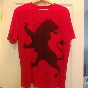 Mens Express t-shirt